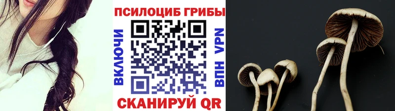 Галлюциногенные грибы Psilocybine cubensis Свободный