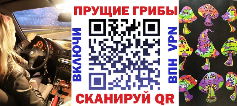 Купить  Свободный  Псилоцибиновые грибы Cubensis 